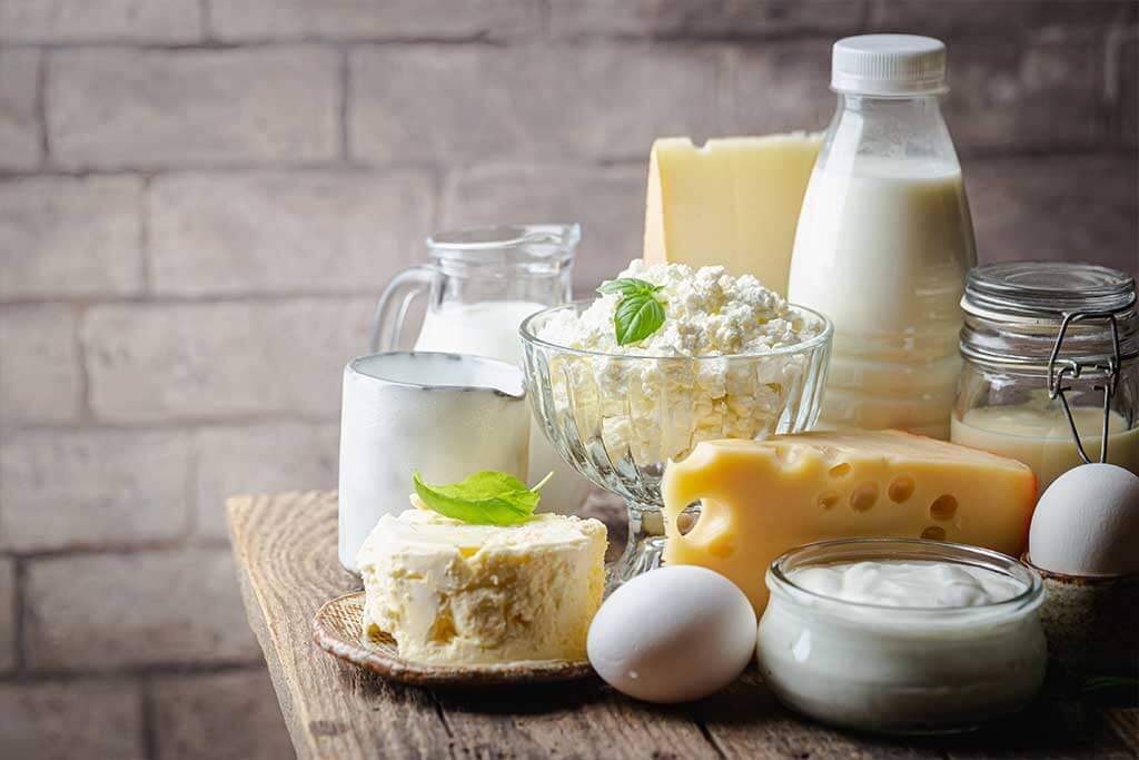 Fresh dairy products, milk, cottage cheese, eggs, yogurt Fresh dairy products, milk, cottage cheese, eggs, yogurt
