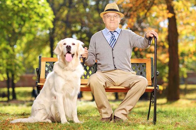 Senior man with his dog in a park Senior man with his dog in a park