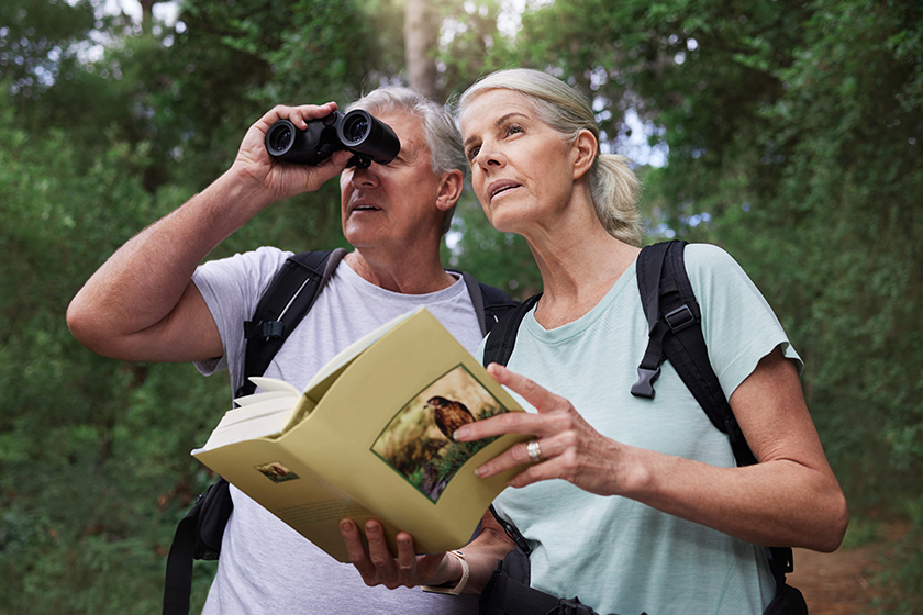 Book, bird watching and binoculars with old couple Book, bird watching and binoculars with old couple