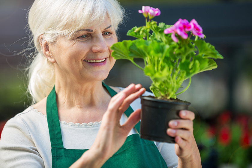 Woman working in florist shop Woman working in florist shop
