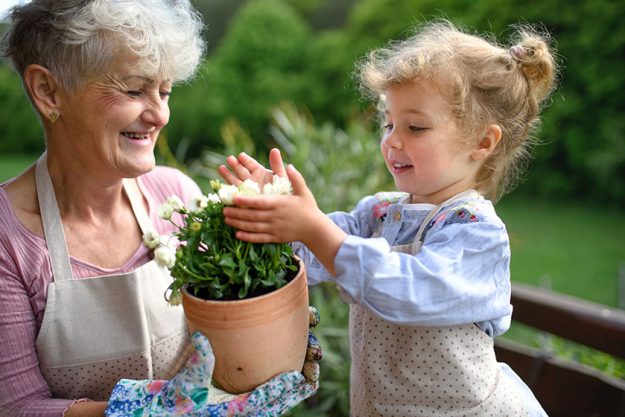 Senior grandmother with small granddaughter gardening on balcony in summer.